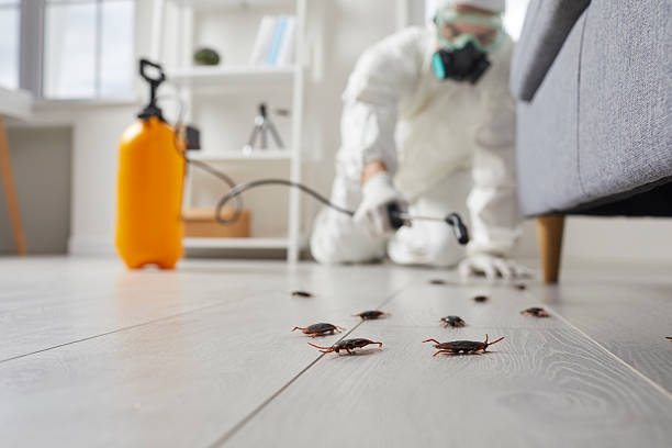 Trusted Rodent Control service in Henderson, NC - Nex Pest Control