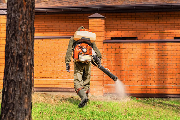 Trusted Cockroach Control service in Henderson, NC - Nex Pest Control